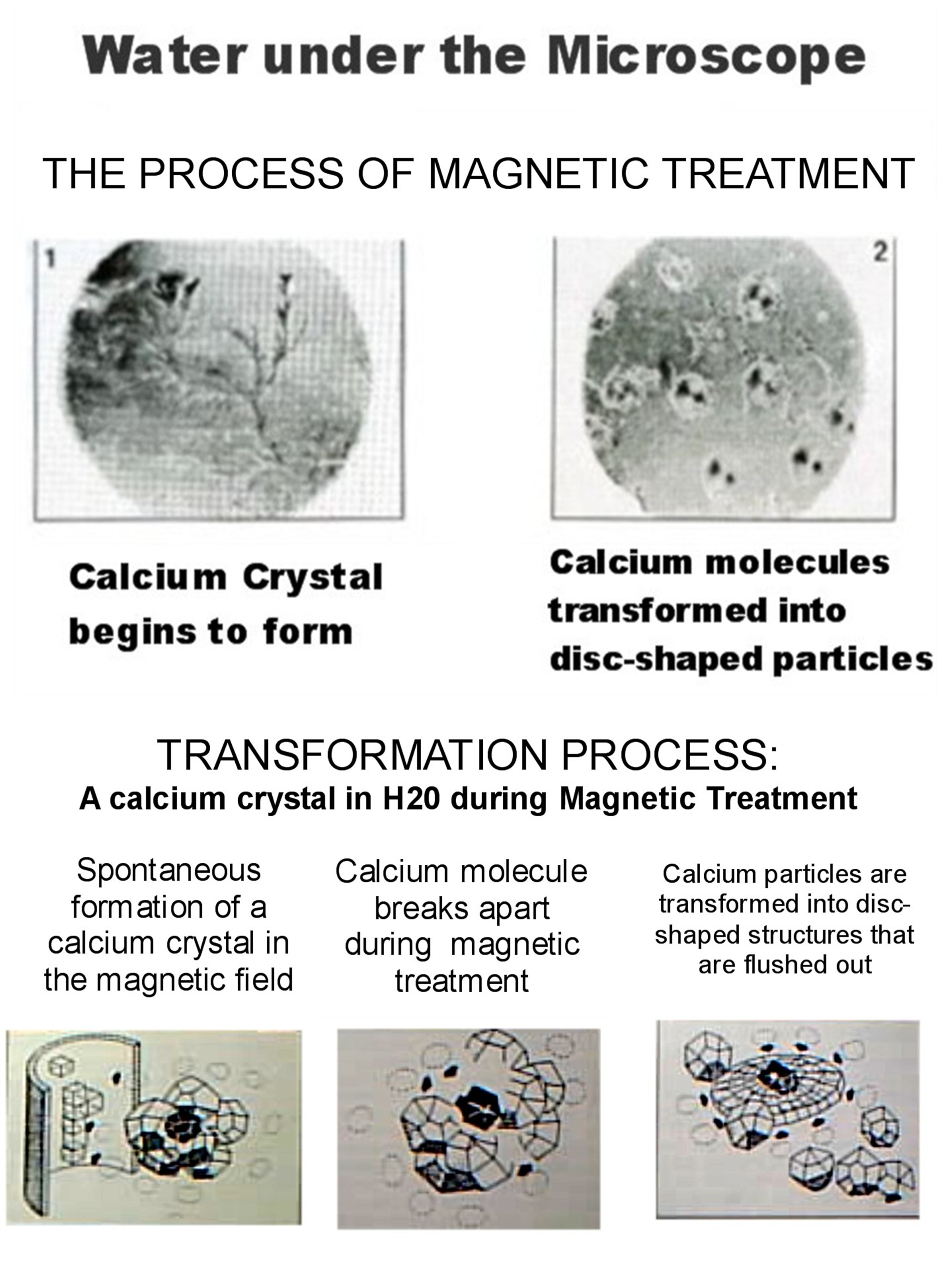 calcium crystals